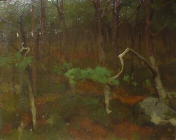 Boschinterieur by Willem Witsen