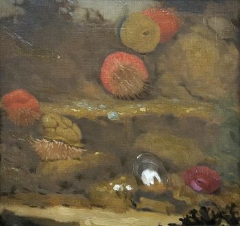 Zeeanemonen by Gerrit Willem Dijsselhof