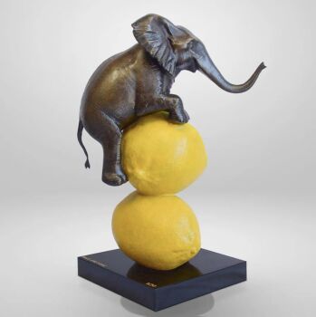 Elephants really loves lemons by Gillie and Marc