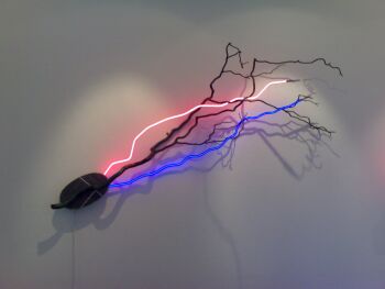 ‘Lighting Nature’ by Jozef van der Horst