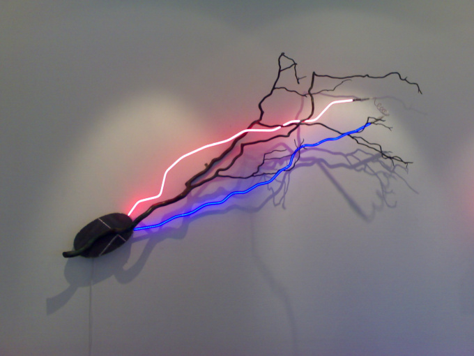 ‘Lighting Nature’ by Jozef van der Horst