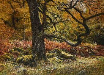 Meesterwerken der Natuur by Unbekannter Künstler