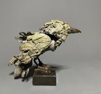 Witte Roepie Roepie by Pieter Vanden Daele