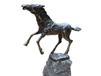 Paard in Galop by Jits Bakker