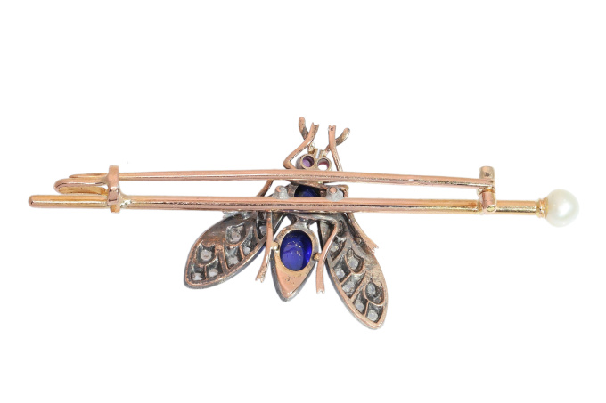 Circa 1900 French Victorian Fly Brooch with Diamonds, Sapphires, Rubies and Pearl by Artista Desconhecido