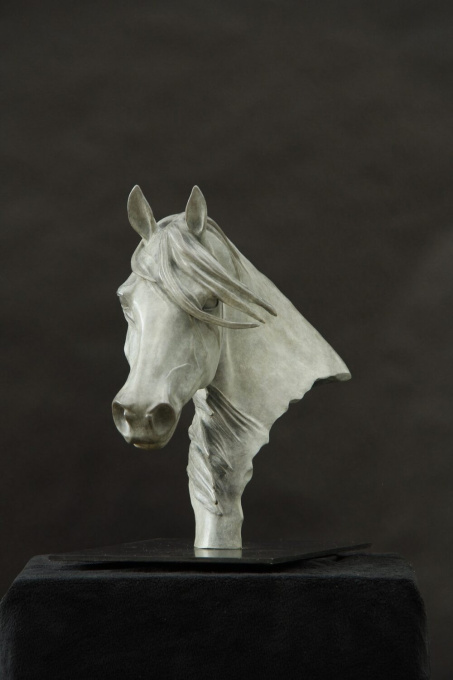 Storm by Gill Parker