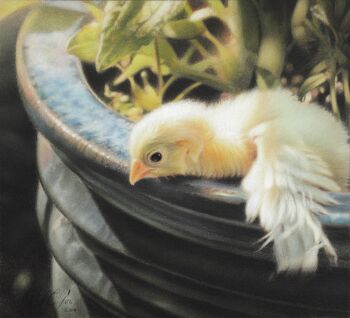 'De grote sprong' by Paul Christiaan Bos