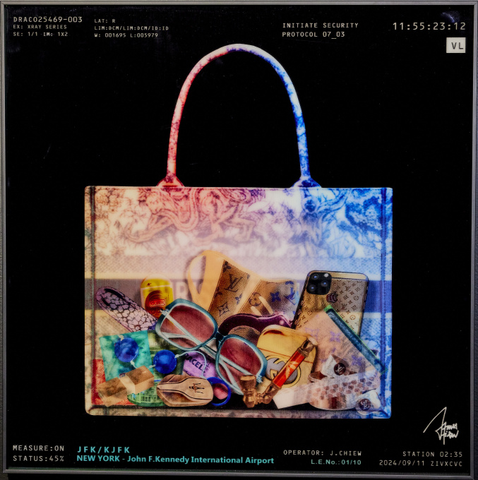 Dior Tote Toil - Sex Toys by James Chiew