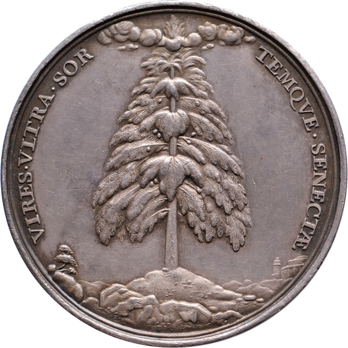 Trompe l’oeil and bronze and silver medal of Dr. Nicolaes Tulp, mayor of Amsterdam, by Antonina Houbraken by Unbekannter Künstler