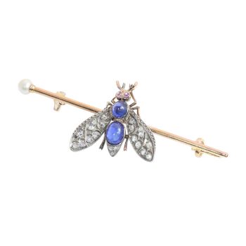 Circa 1900 French Victorian Fly Brooch with Diamonds, Sapphires, Rubies and Pearl by Unbekannter Künstler