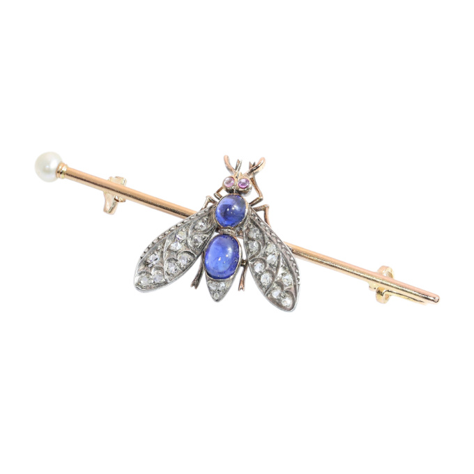 Circa 1900 French Victorian Fly Brooch with Diamonds, Sapphires, Rubies and Pearl by Artista Desconhecido