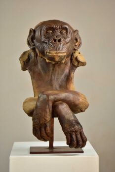 Bonobo by Rénald Pierre