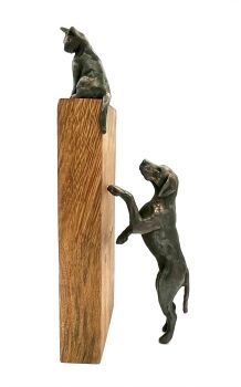 Catch me if you can - Dog & Cat by Natalie de Klijn