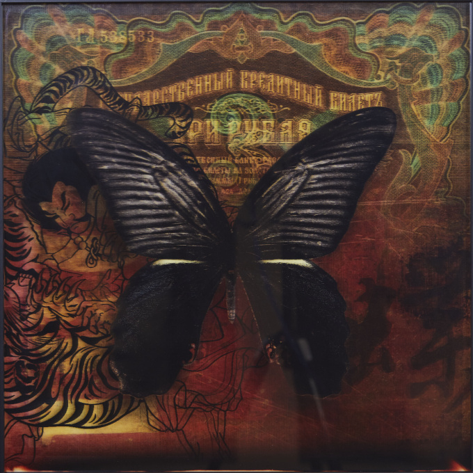 Butterfly III by James Chiew