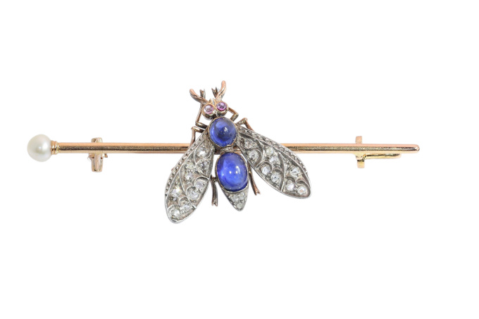 Circa 1900 French Victorian Fly Brooch with Diamonds, Sapphires, Rubies and Pearl by Artista Desconhecido