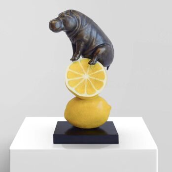 Hippo Loves Lemons by Gillie and Marc