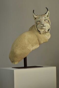 Eurasian Lynx by Rénald Pierre