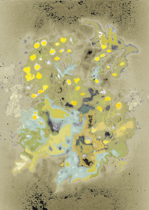 Tanacetum III (boerenwormkruid) by Mirian Jacobs