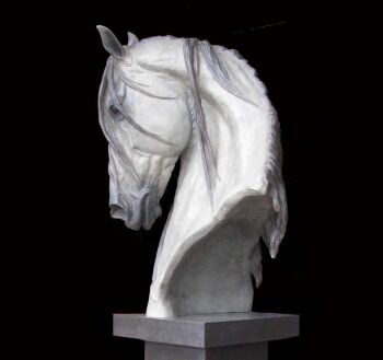 Spanish Horse Head (life size) by Gill Parker