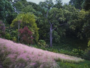 Garden Of Eden, France 2023 by Tina Trumpp