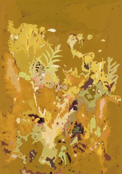 Tanacetum II by Mirian Jacobs