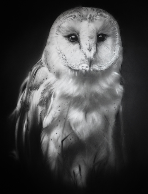 A clear Midnight by Rosanna Gaddoni