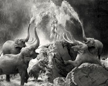 Fountain Of Life by Cheraine Colette