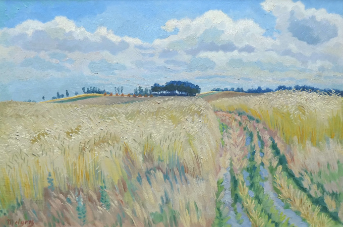 Korenvelden in Drenthe by Henk Melgers