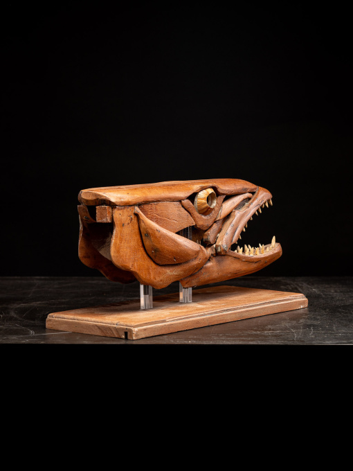 A handmade wooden sculpture, study of a Barracuda head, mouth open, resting on wooden plinth by Unbekannter Künstler