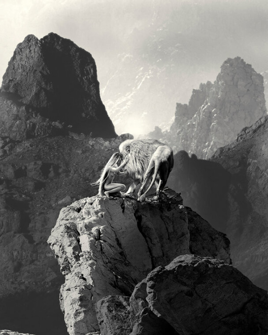 Mirador (close-up) by Cheraine Colette