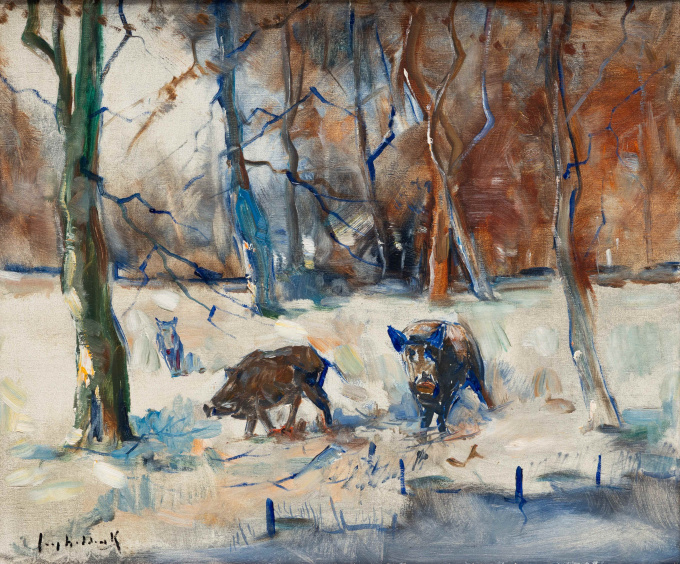 Wilde zwijnen in de sneeuw by Jaap Hiddink