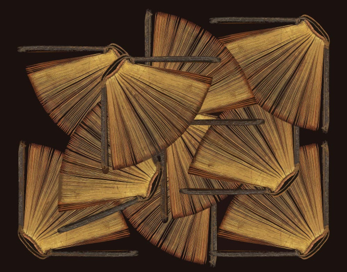 Artbooks by Dominique Landau