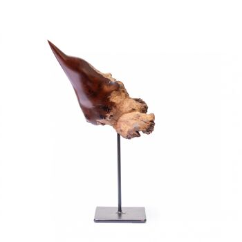 Bird by Boniface