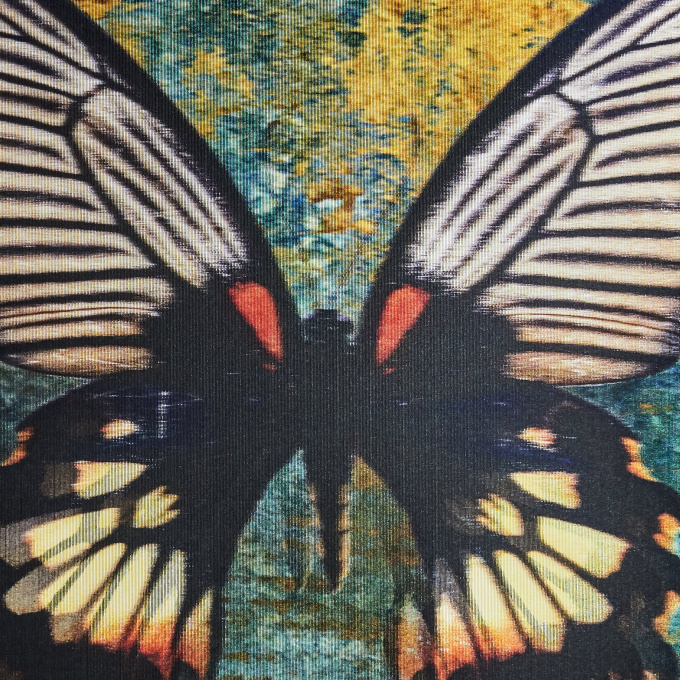 Butterfly II by James Chiew