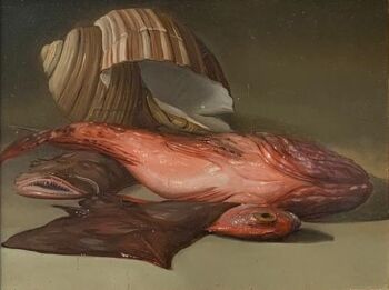 Natura Morta di Pesci - In Stock by Giovanni Tommasi Ferroni