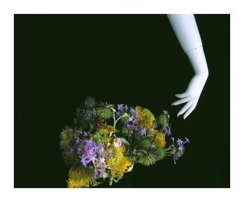 MONSTROUS PARADISE #112 by Nobuyoshi Araki (荒木経惟)