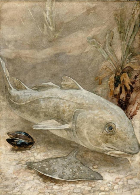 Aquarium by Willem Witsen