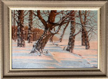 Warmgekleurd wintergezicht by Henk van Leeuwen van Oudewater