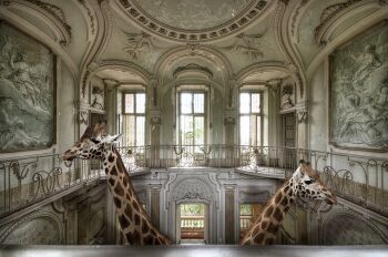 Tallest in the Building by Cheraine Colette