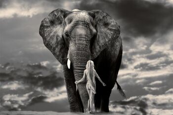 Will We Find A Way by Cheraine Colette