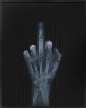 Flippin' the Bird (3/15) by Nick Veasey