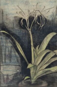 Uitgebloeide lelie by Theo Nieuwenhuis