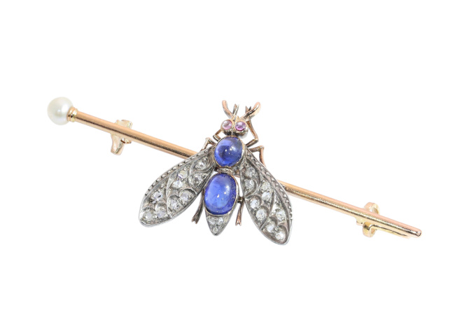 Circa 1900 French Victorian Fly Brooch with Diamonds, Sapphires, Rubies and Pearl by Artista Desconhecido