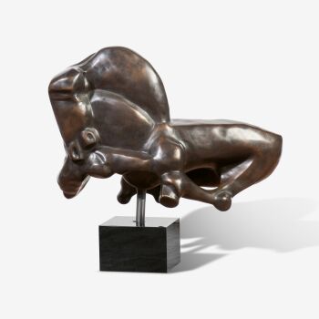 Amazone by Theo Mackaay