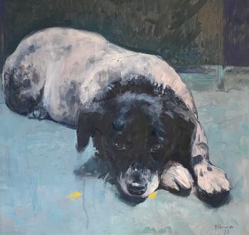 Stip by Pieter Pander