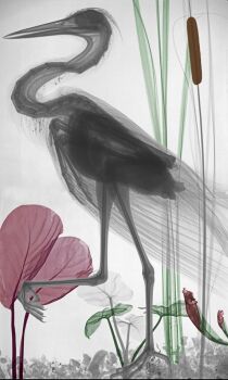 Heron by Arie van 't Riet