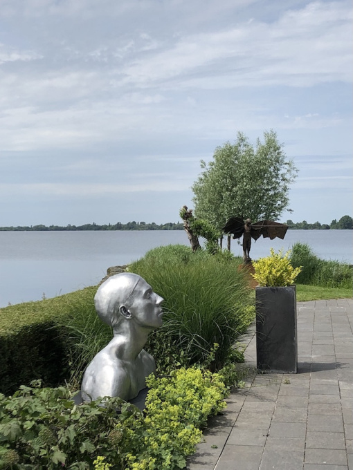 The Swimmer (APIII) by Coderch and Malavia