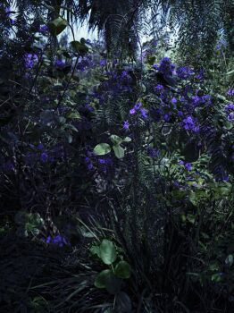 Exotic Garden, Italy 2022 by Tina Trumpp