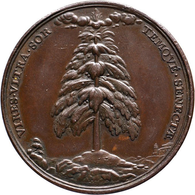 Trompe l’oeil and bronze and silver medal of Dr. Nicolaes Tulp, mayor of Amsterdam, by Antonina Houbraken by Unbekannter Künstler