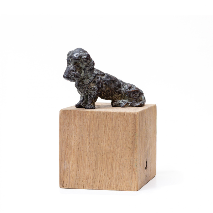 Dachshund by Manon